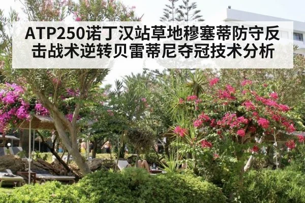 ATP250诺丁汉站草地穆塞蒂防守反击战术逆转贝雷蒂尼夺冠技术分析